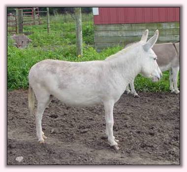 My World Rain Dancer