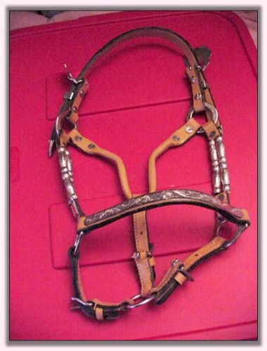 Miniature Silver Show Halter For Sale