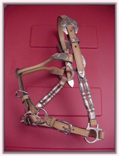 Miniature Silver Show Halter For Sale