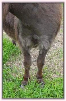 My World Miss Attitude