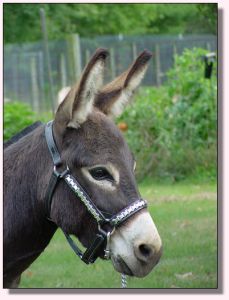 My World Dart ~ September 2006