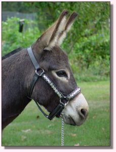 My World Dart ~ September 2006