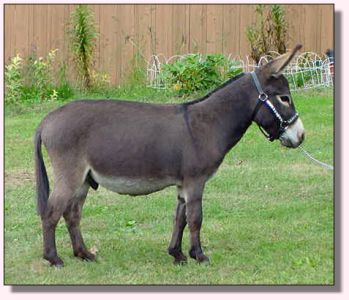 My World Dart ~ September 2006