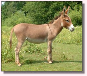 My World Dee-Dee in 2004