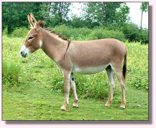 My World Dee-Dee in 2004