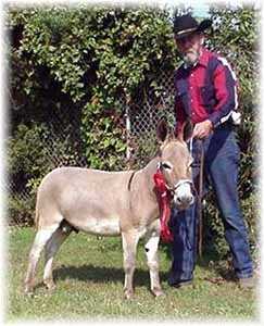 My World Dodger winning 2nd at North Carolina State Fair (7856 bytes)
