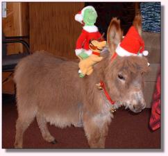 My World Go for the Gusto