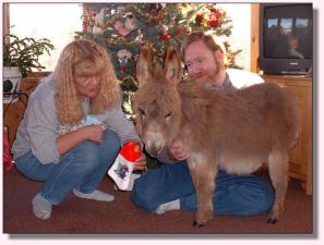 My World Go for the Gusto