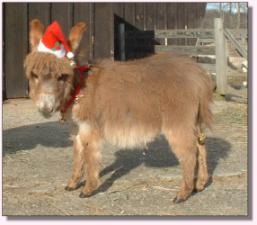 My World Go for the Gusto