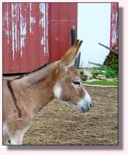 My World Lexus - August 2004