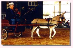 My World Poncho Via (13,670 bytes)