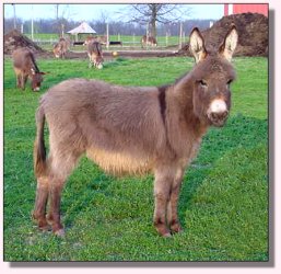 My World Morning Star ~ April 2005