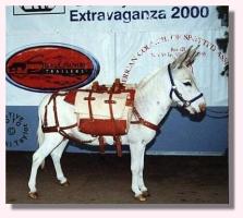 My World Preston (10,863 bytes)