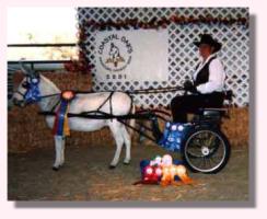 My World Preston (11,456 bytes)