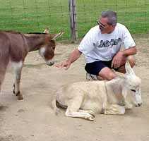 Joe & Rascal (6293 bytes)