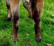 My World Tyler (8494 bytes)