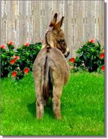 My World Tinker Toy (10,319 bytes)