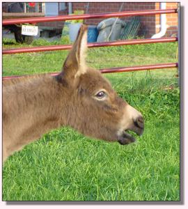 My World Where's My Spots