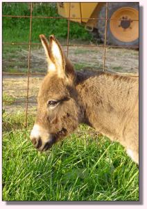 My World Where's My Spots