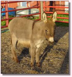 My World Where's My Spots