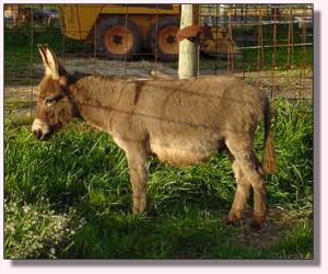 My World Where's My Spots