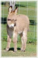 My World Zena, Warrior Princess (6971 bytes)