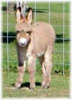 My World Zena, Warrior Princess (7138 bytes)