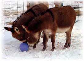 Play Ball! (7802 bytes)