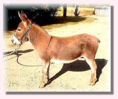 My World Spunky (12,079 bytes)